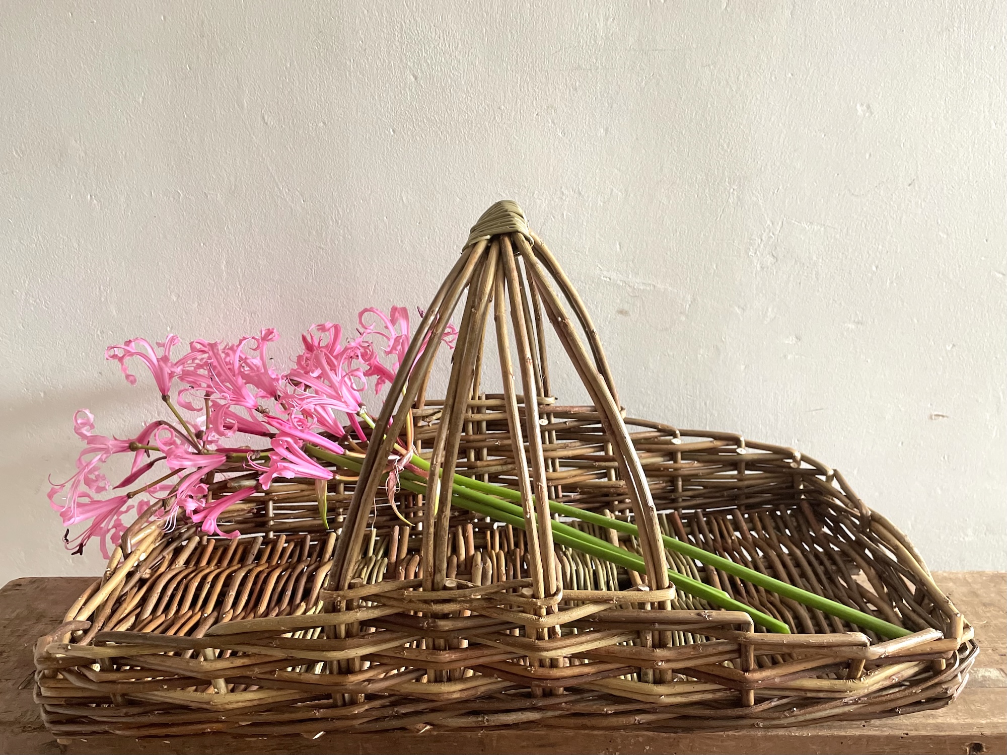 Flower Basket Willow Day Workshop