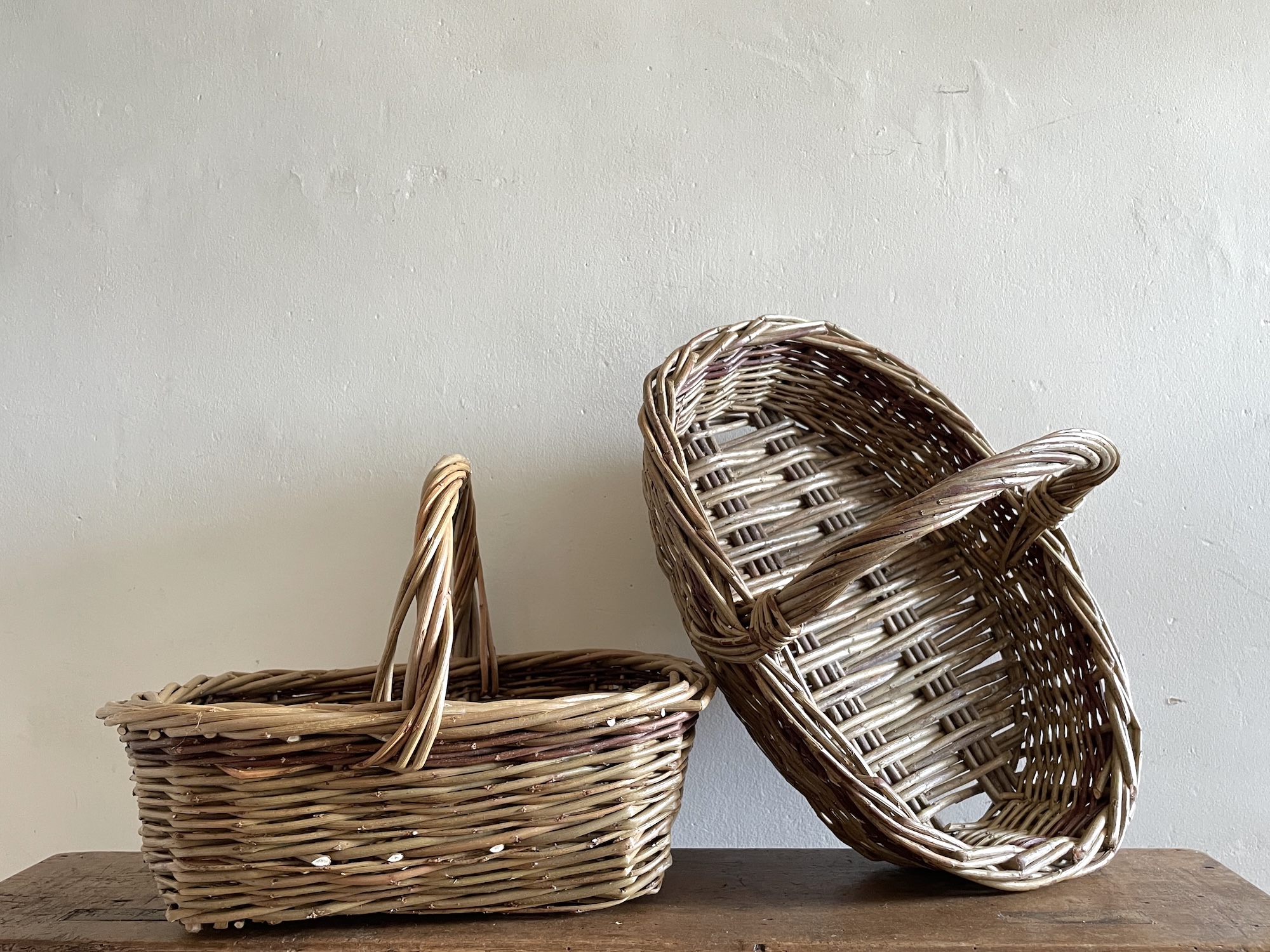 Garden Basket Willow Day Workshop
