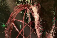 Laura Wilcock – Willow Wise