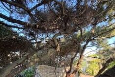 Alistair Hayhurst – Underwood Crafts