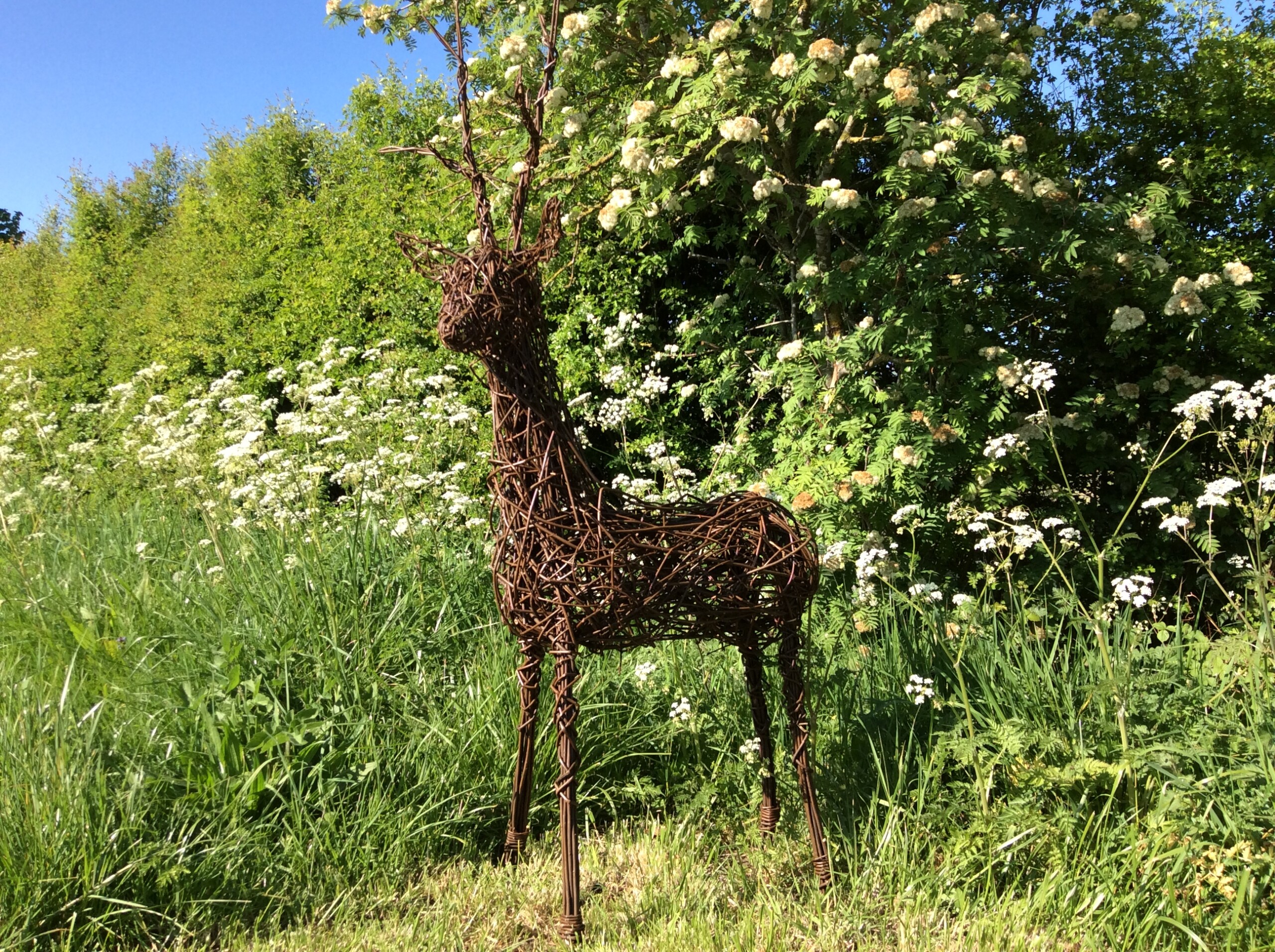 Willow Deer Workshop