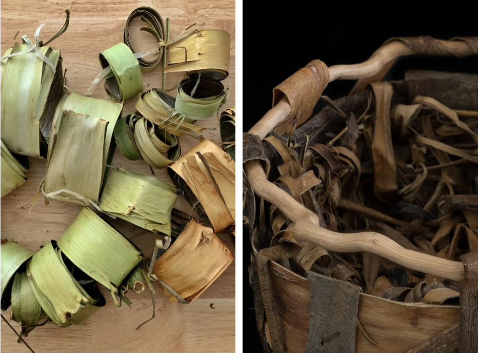 Working With Tree Bark For Sculptural Work & Basketry (online)