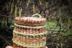Jeanette Gray – Weaving Wild