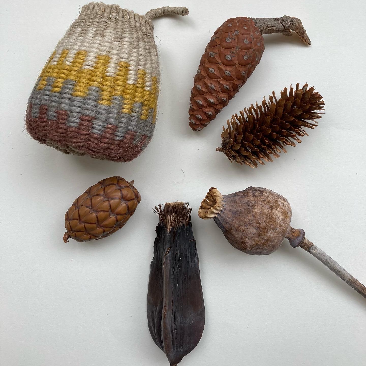 Twined Baskets and Pods