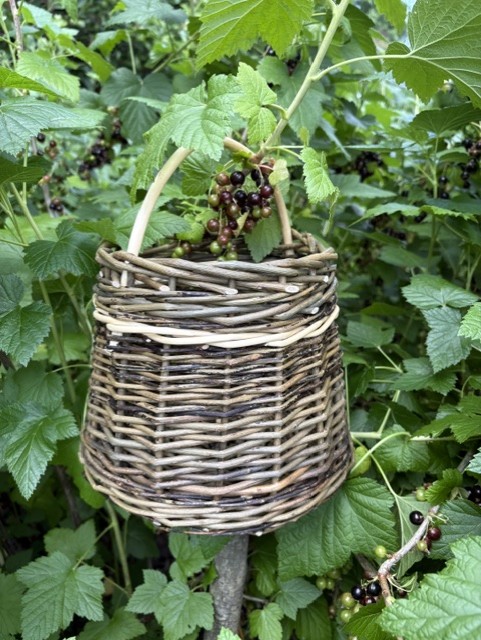 Berry Basket Workshop