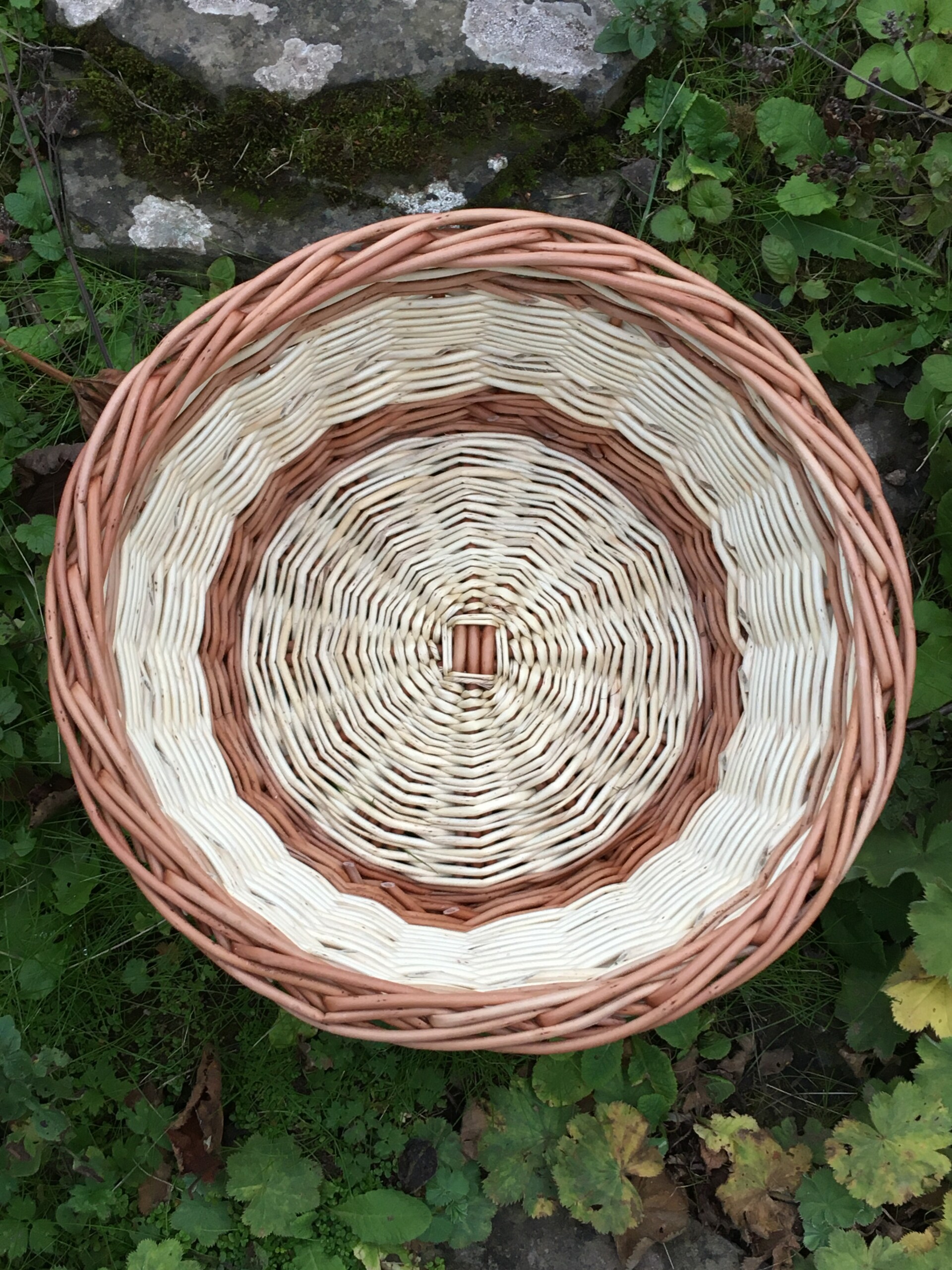 Round Basket Workshop
