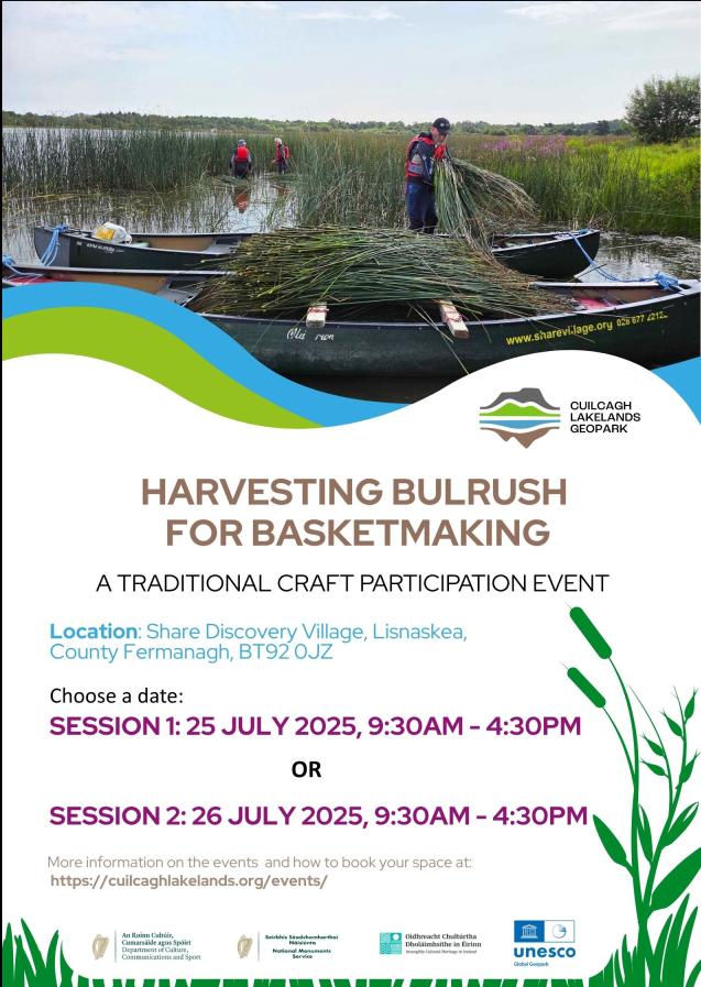 Harvesting Bulrush on Lough Erne