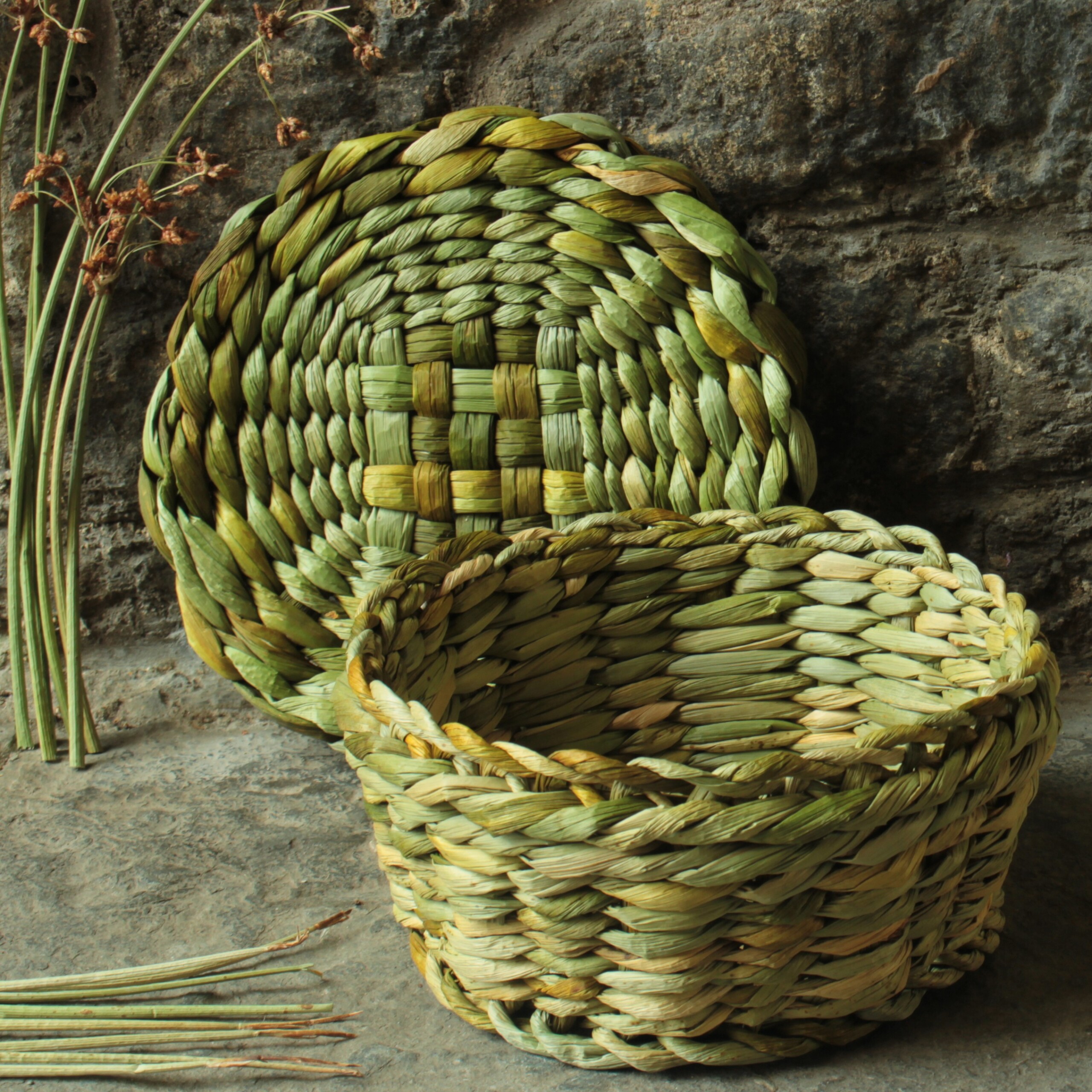 Rush Basket Making