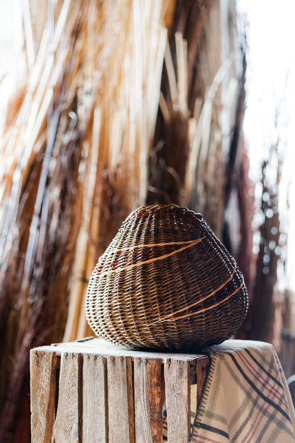 Justine Burgess, West Wales Willows